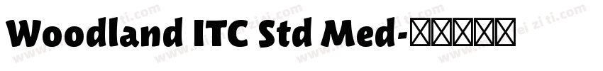 Woodland ITC Std Med字体转换